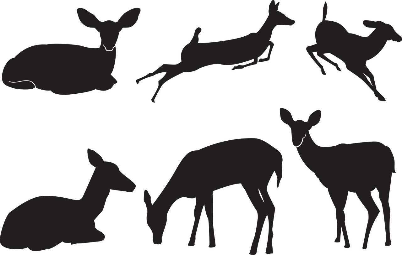 M s De 9 000 Vectores De Silueta De Venado Y Silueta Gratis Pixabay M s De 9 000 Vectores De Silueta De Venado Y Silueta Gratis Pixabay