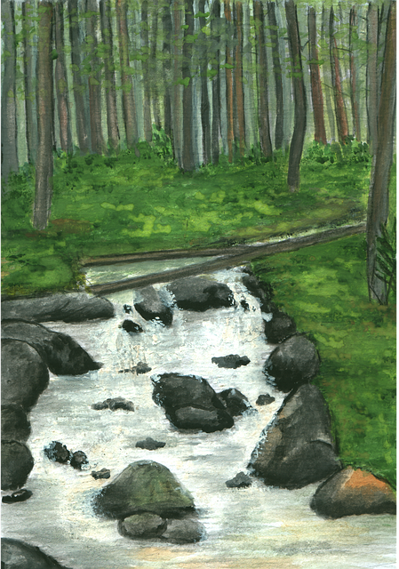 Skov, Flod, Vand, Landskab, Natur