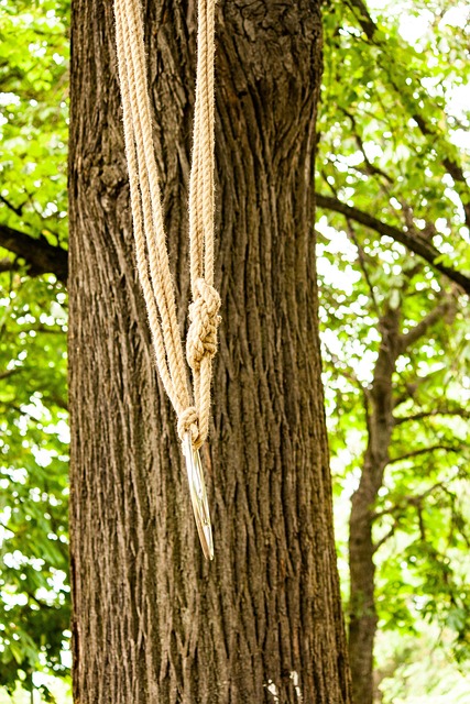 Free Rope Link photo and picture