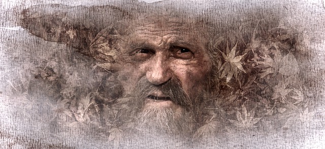 Portret, Om, Vechi, Față, Frunze