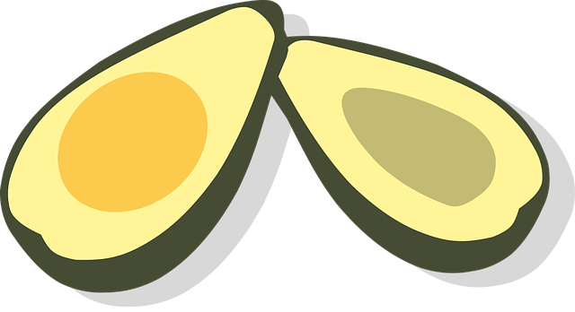 Free guacamole avocado salad vector