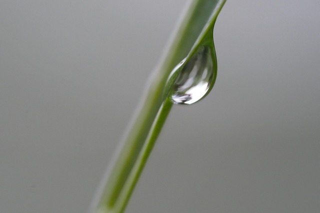 Free Water Nature photo and picture