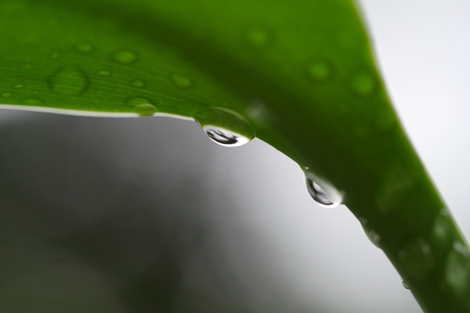 水 水點 水滴 - Pixabay上的免费照片