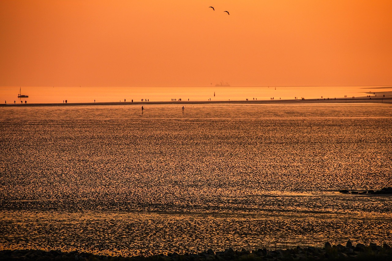 泥滩远足 瓦 海滩 - Pixabay上的免费照片 - Pixabay