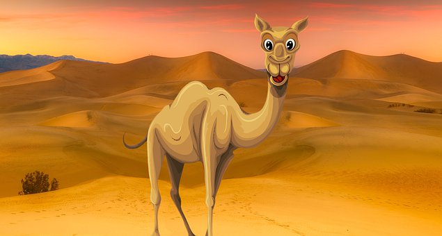 Free Camel Arab illustration and picture