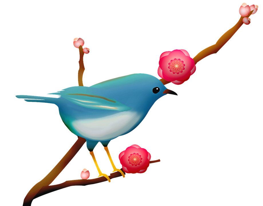 Blue Bird, Sakura Branch, Bird On Branch, Pink Flower