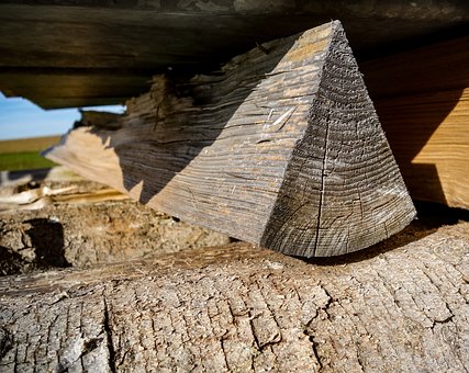 Free Wood Pile Of Wood photo and picture