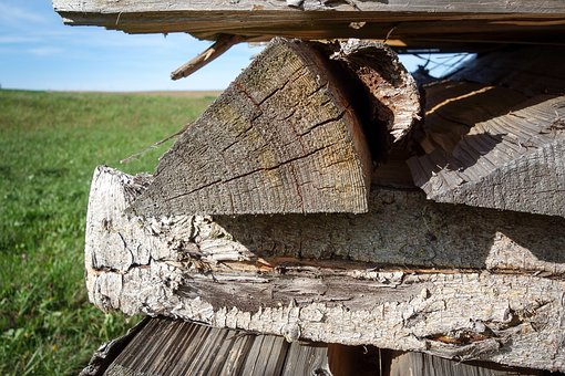 Free Wood Pile Of Wood photo and picture
