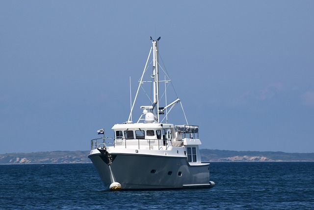 Boot, Ozean, Ferien, Wasser, Segel