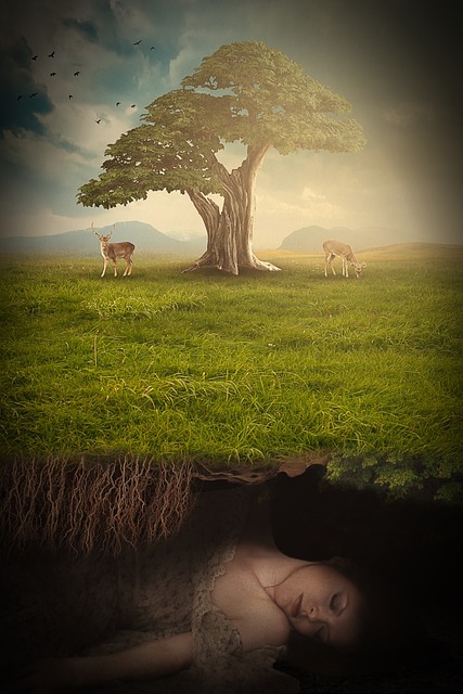Mulher, Humano, Dorme, Mentira, Terra
