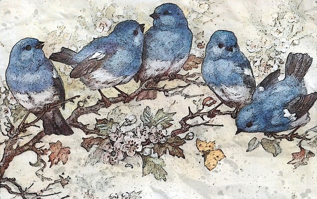 Free blue birds and blossom wild bird illustration
