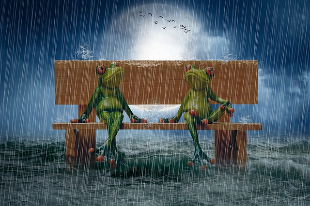 Free manipulation frog bench illustration