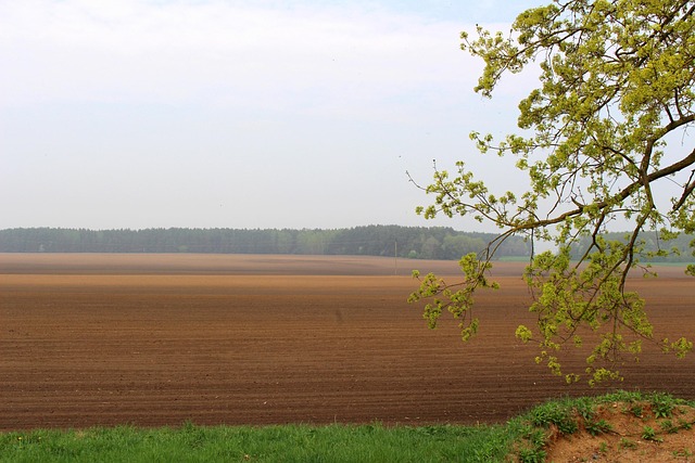 Free Landscape Nature photo and picture