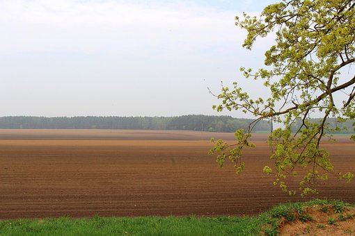 Landschaft, Nature, Feld, Wald, Baum