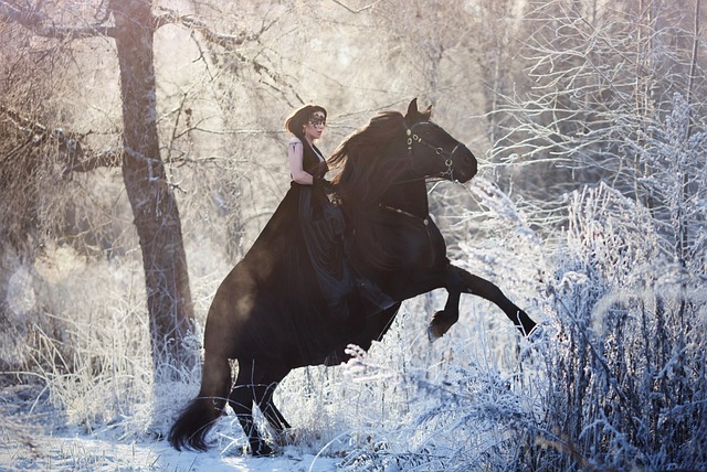 Free Young Woman Winter photo and picture