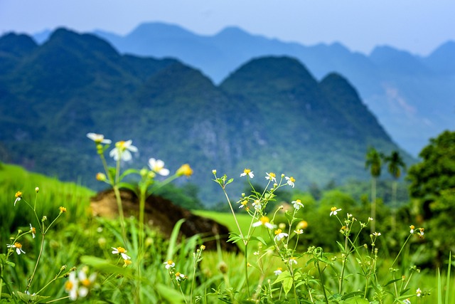 Free Pu Luong Nature Reserve photo and picture