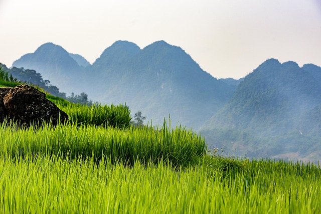 Free Pu Luong Nature Reserve photo and picture