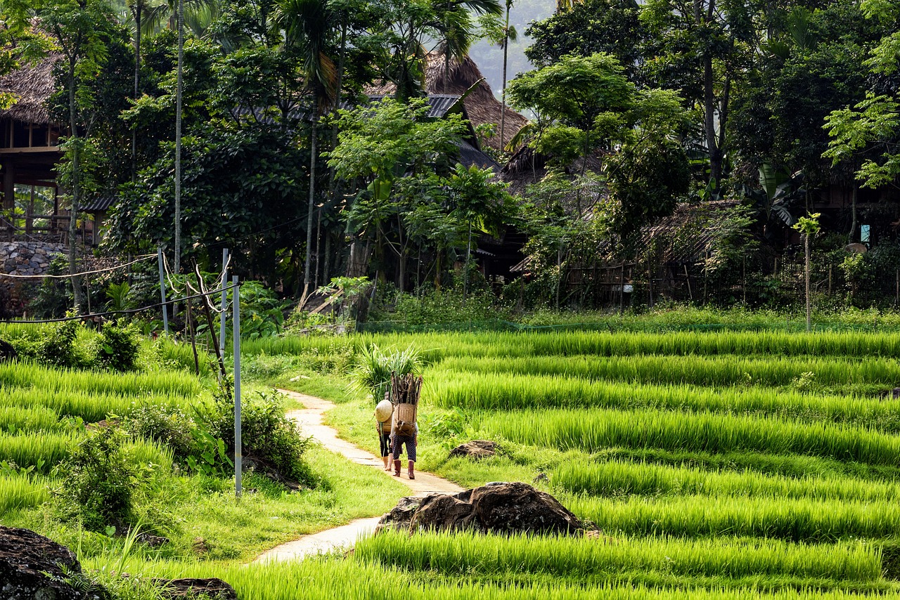 Pu Luong & Mai Chau Retreat 3 Days