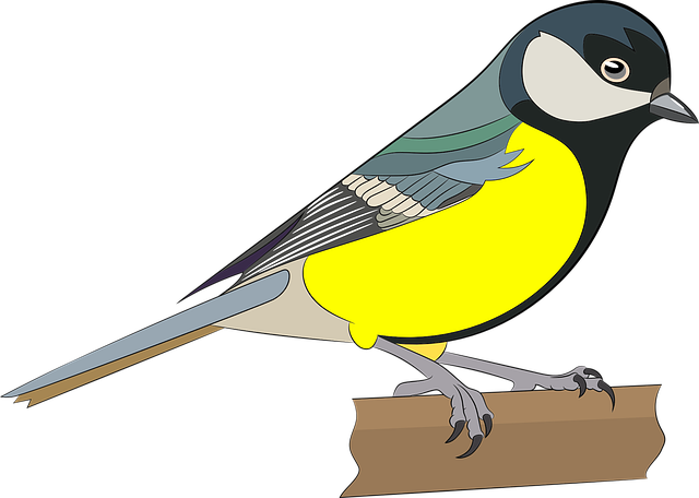 Free birds nature colorful vector