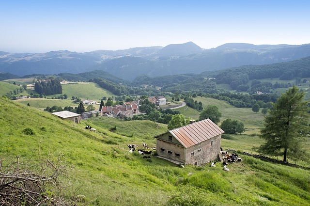 Free Pasture Rural photo and picture