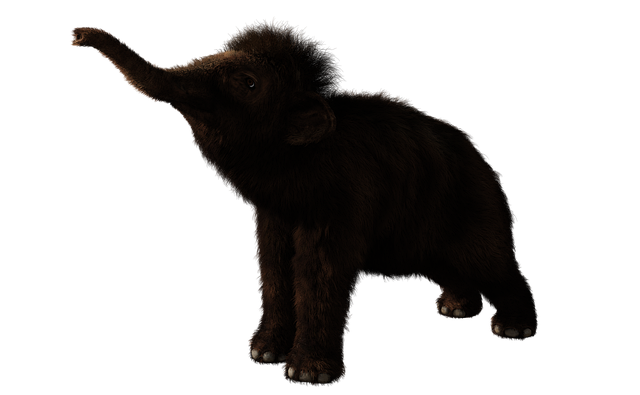 Free elephant baby mammal illustration