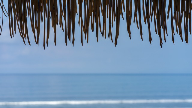 Free Ocean Bali photo and picture