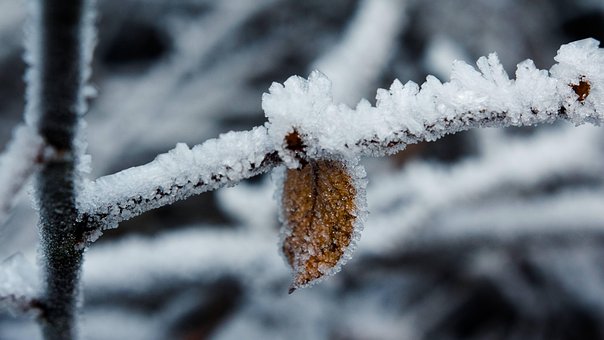 Free Ice Winter photo and picture