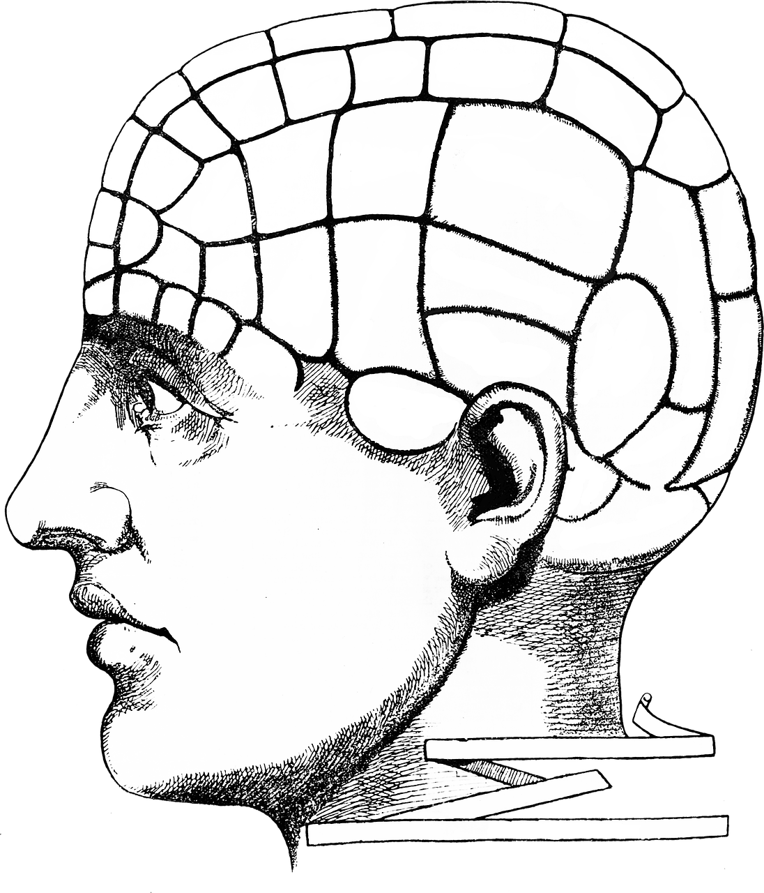 1 Free Phrenologie Leer Images Pixabay 1-free-phrenologie-leer-images-pixabay