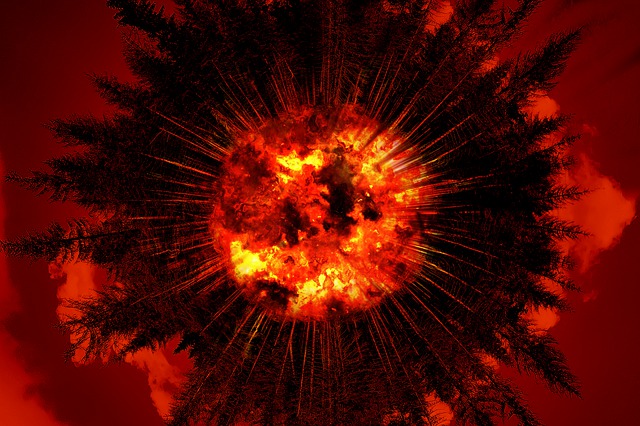 Free trees explosion forest illustration