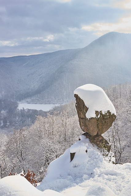 Free Nature Winter photo and picture