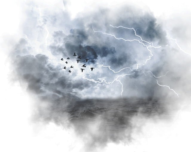 Free fog sea ocean illustration
