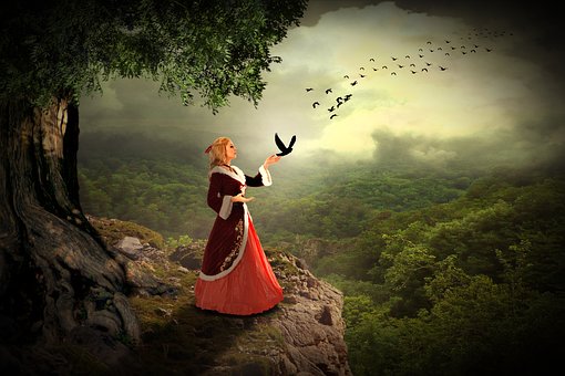 Mulher, Humano, Colina, Árvore, Natureza