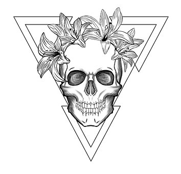 Free Skull Skeleton illustration and picture
