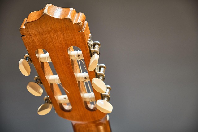Free Guitar Voting Mechanics photo and picture