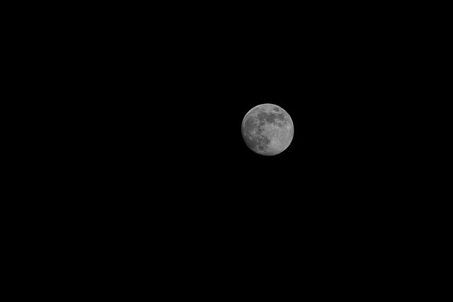 Free Moon Night photo and picture