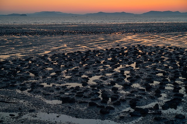 Free Foreshore Ebb photo and picture
