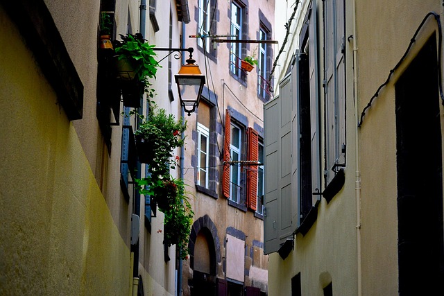 Free Street Lamp photo and picture