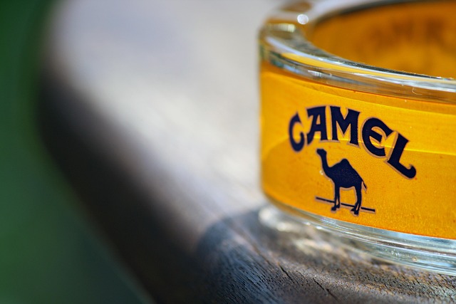 Free Camel Ashtray photo and picture