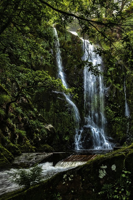 Free Water Falls photo and picture