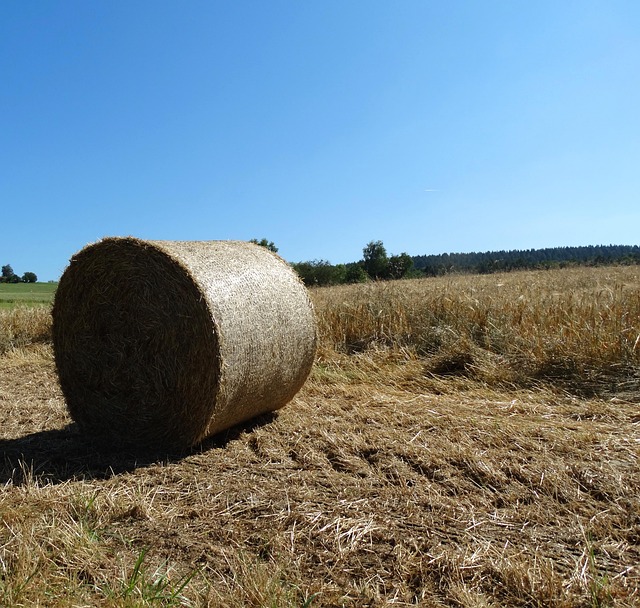 Free Hay Bales Bale photo and picture