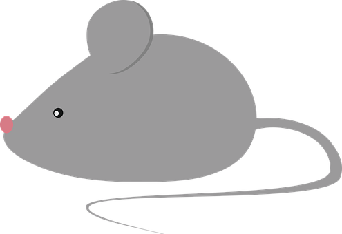 Mouse, Rodedor, Adorabil, Cu Blană