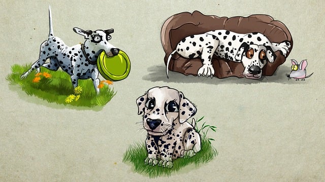Hund, Dalmatiner, Haustier, Hingabe