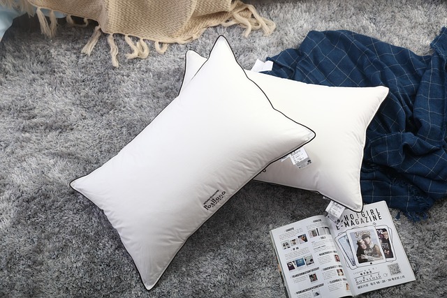 Free Bedding Pillow photo and picture