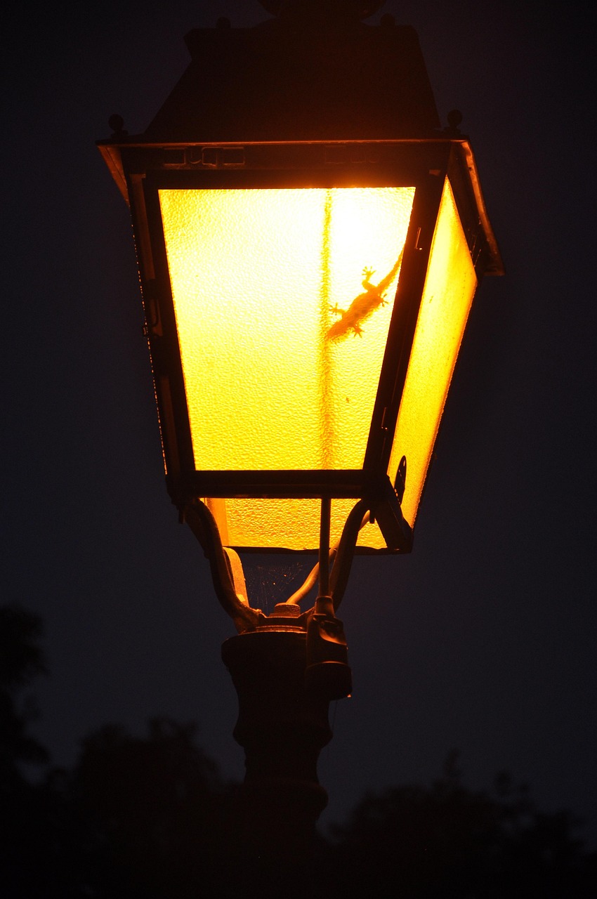 Lantern Lighting Eve Free photo on Pixabay Pixabay