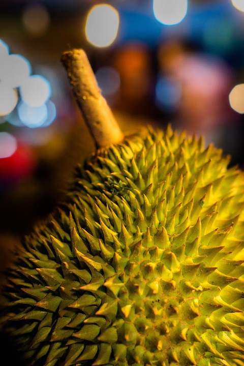 Download 6400 Gambar Durian Hijau Terbaru Gratis
