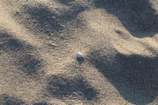 Strand, Skall, Sand, Ferie, Hav