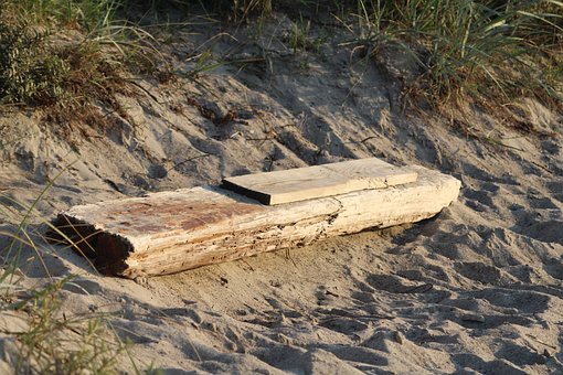 Tre, Sand, Driftwood Beach Holiday
