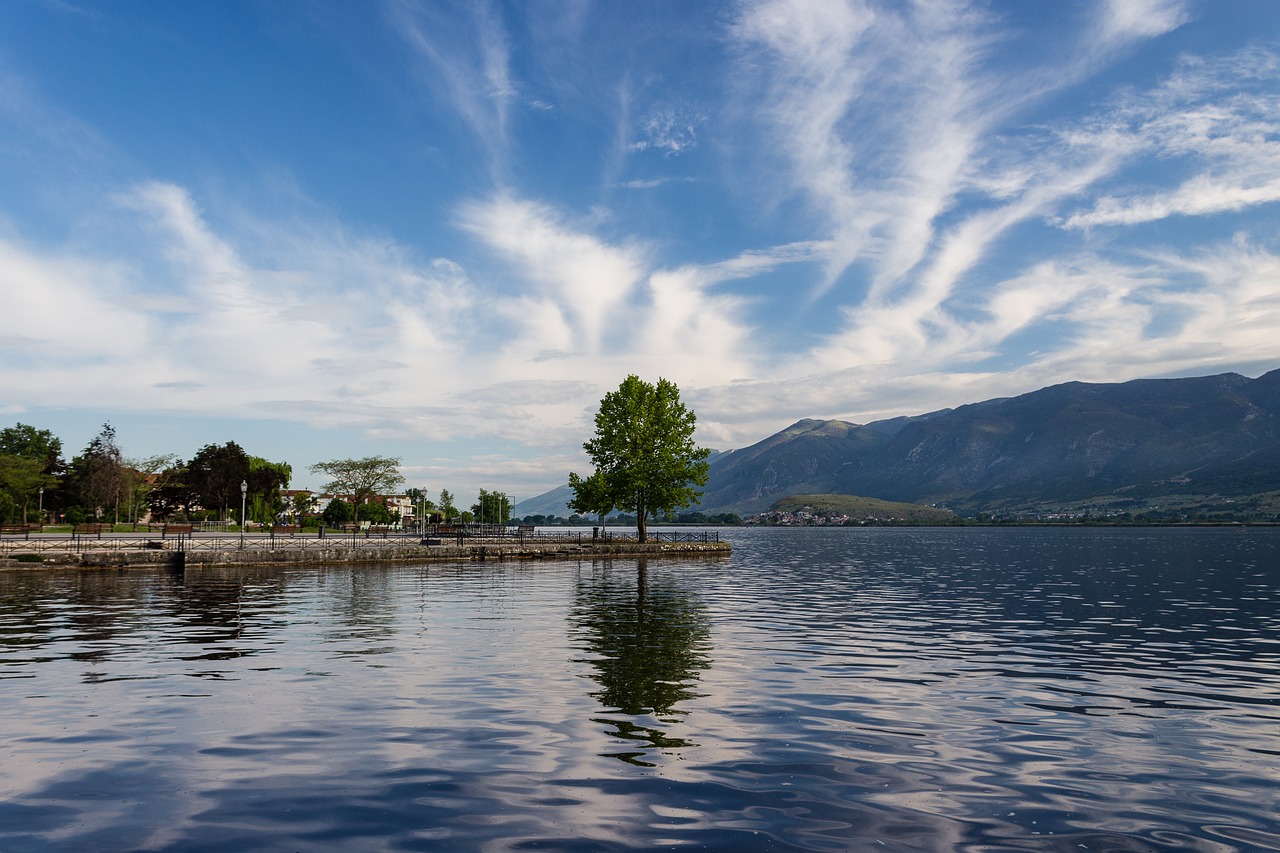 Tree Lake Water - Free photo on Pixabay - Pixabay