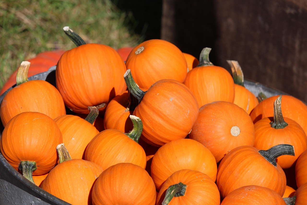 Pumpkin - free online jigsaw puzzle photo