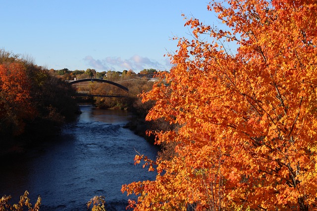 Free River Fall Foliage photo and picture